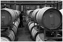 Winemaker checking barrels of wine being aged. Napa Valley, California, USA (black and white)