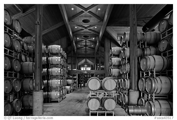 Large room filled with barrels of wine. Napa Valley, California, USA (black and white)