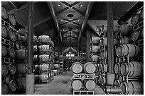 Large room filled with barrels of wine. Napa Valley, California, USA ( black and white)