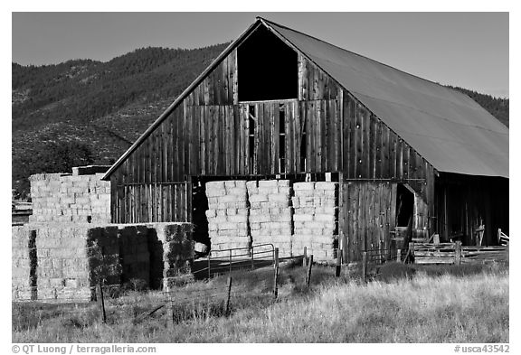 Barn and hay, Yreka. California, USA (black and white)