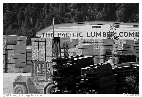 Lumber and forklift, Pacific Lumber Company, Scotia. California, USA