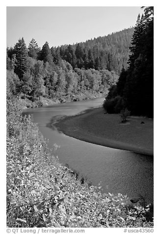 Eel River near Avenue of the Giants. California, USA