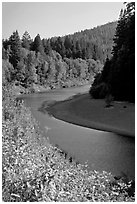 Eel River near Avenue of the Giants. California, USA (black and white)