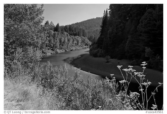 Riverbend of the Eel in redwood forest. California, USA