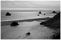 Shimmering ocean and river separated by sliver of sand, Jenner. Sonoma Coast, California, USA ( black and white)