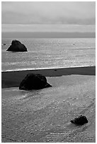 Shimmering waters, Mouth of the Russian River, Jenner. Sonoma Coast, California, USA ( black and white)