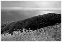 Summer grasses, hill, and ocean shimmer. Sonoma Coast, California, USA ( black and white)