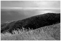 Summer grasses, hill, and ocean shimmer. Sonoma Coast, California, USA (black and white)