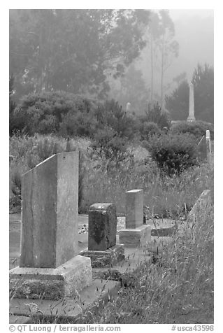 Foggy cemetery, Manchester. California, USA (black and white)