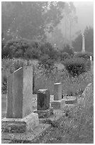 Foggy cemetery, Manchester. California, USA (black and white)