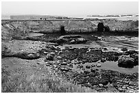 Seascape with cliffs and pasturs. California, USA (black and white)