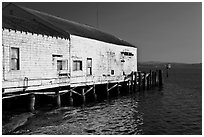 Wharf building, Bodega Bay. Sonoma Coast, California, USA ( black and white)