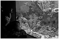 Children looking at aquarium, California Academy of Sciences. San Francisco, California, USA ( black and white)
