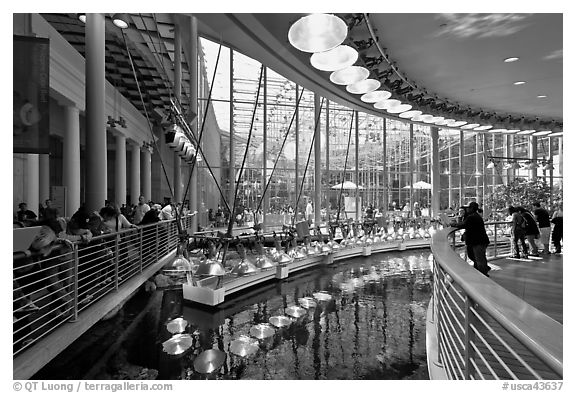 Special lamps recreate sunlight on top of Coral Reef tank, California Academy of Sciences. San Francisco, California, USA (black and white)