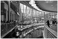 Special lamps recreate sunlight on top of Coral Reef tank, California Academy of Sciences. San Francisco, California, USA ( black and white)