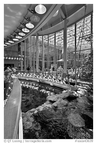 Tourists look at rays on surface of coral reef tank , California Academy of Sciences. San Francisco, California, USA<p>terragalleria.com is not affiliated with the California Academy of Sciences</p>