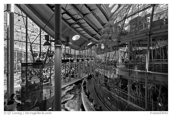 Piazza and glass dome enclosing rain forest , California Academy of Sciences. San Francisco, California, USA<p>terragalleria.com is not affiliated with the California Academy of Sciences</p>