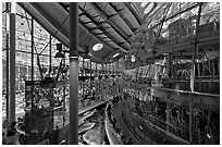 Piazza and glass dome enclosing rain forest , California Academy of Sciences. San Francisco, California, USA ( black and white)