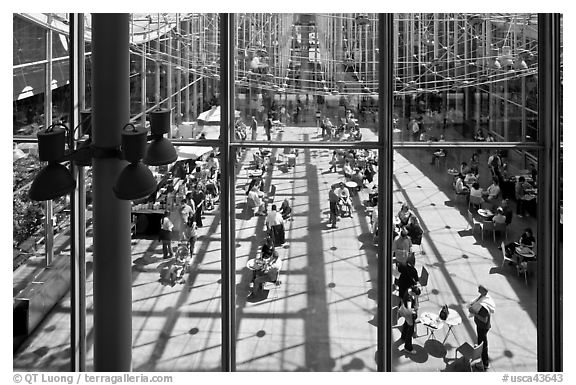 Piazza, California Academy of Sciences. San Francisco, California, USA<p>terragalleria.com is not affiliated with the California Academy of Sciences</p>