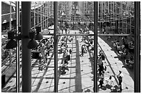 Piazza, California Academy of Sciences. San Francisco, California, USA ( black and white)