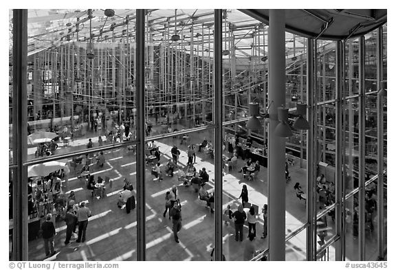 Piazza, shaded in mid-afternoon, California Academy of Sciences. San Francisco, California, USA (black and white)