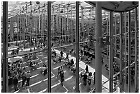 Piazza, shaded in mid-afternoon, California Academy of Sciences. San Francisco, California, USA<p>terragalleria.com is not affiliated with the California Academy of Sciences</p> (black and white)