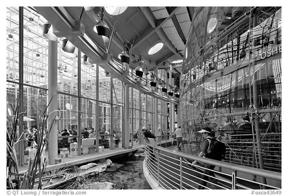Piazza and 90 foot diameter glass dome housing spherical rainforest exhibit, California Academy of Sciences. San Francisco, California, USA (black and white)