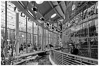 Piazza and 90 foot diameter glass dome housing spherical rainforest exhibit, California Academy of Sciences. San Francisco, California, USA ( black and white)