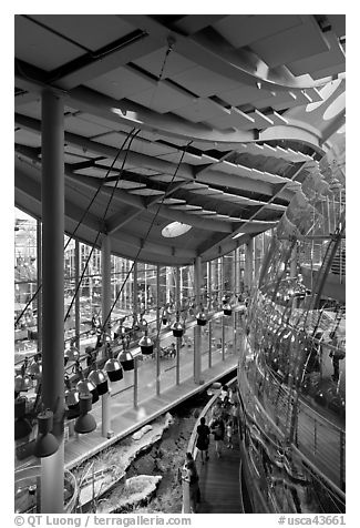 Four-story Rainforest dome from above, California Academy of Sciences. San Francisco, California, USA (black and white)