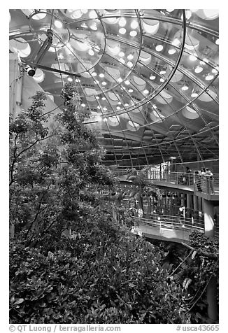 Domed rainforest, California Academy of Sciences. San Francisco, California, USA (black and white)