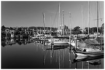 Marina and Palace of fine arts. San Francisco, California, USA (black and white)