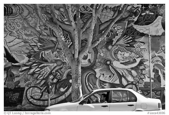Man sitting in car, mural, and tree, Mission District. San Francisco, California, USA (black and white)