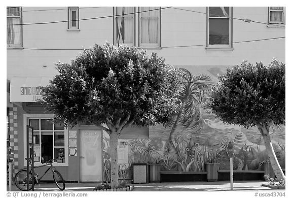 Store, trees and mural, Mission District. San Francisco, California, USA (black and white)