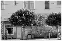 Store, trees and mural, Mission District. San Francisco, California, USA (black and white)