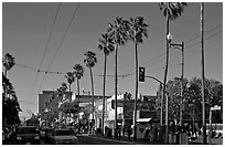 Palm-lined section of Mission street, Mission District. San Francisco, California, USA (black and white)