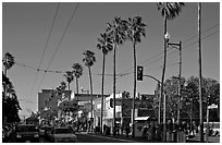 Palm-lined section of Mission street, Mission District. San Francisco, California, USA (black and white)