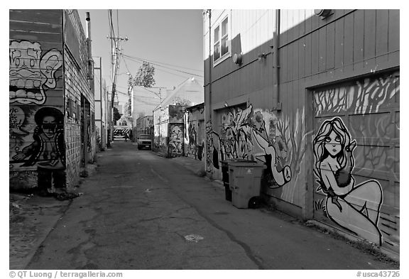 Alley (Lilac) with many murals and decorated garage doors, Mission District. San Francisco, California, USA (black and white)