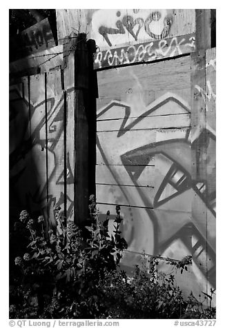 Flowers and painted wall, Mission District. San Francisco, California, USA