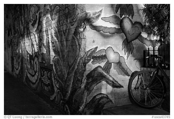 Bicycle and last light on mural, Mission District. San Francisco, California, USA (black and white)