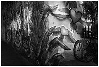 Bicycle and last light on mural, Mission District. San Francisco, California, USA (black and white)