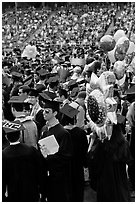 Graduating students celebrating commencement. Stanford University, California, USA (black and white)