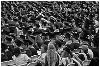 Graduates in academic regalia. Stanford University, California, USA ( black and white)