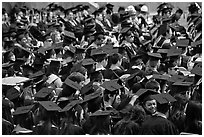 Graduating students in academic gowns and caps. Stanford University, California, USA (black and white)