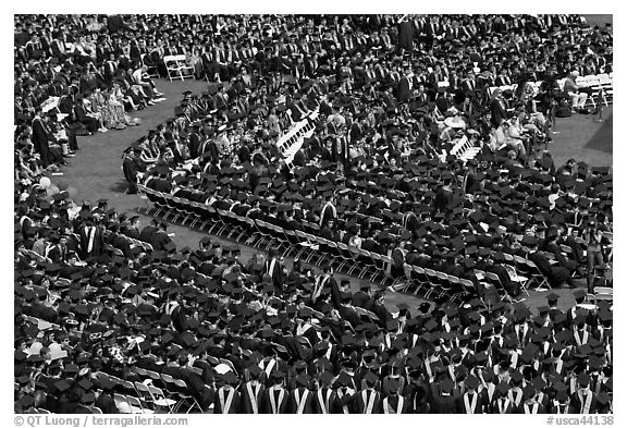 Large gathering of students in academic dress at graduation ceremony. Stanford University, California, USA