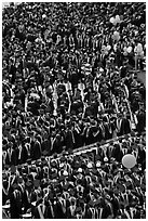 Dense rows of graduating college students in academic heraldy. Stanford University, California, USA (black and white)