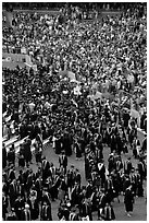 Graduates gather in front of family and friends after commencement. Stanford University, California, USA ( black and white)