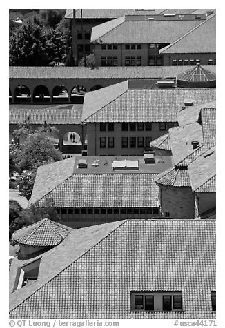 Red tiles rooftops seen from above. Stanford University, California, USA (black and white)