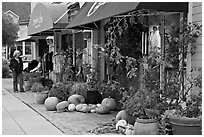 Sidewalk in the fall. Half Moon Bay, California, USA (black and white)