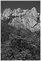 Limestone cliffs, Castle Crags State Park. California, USA ( black and white)