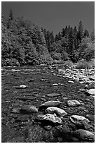 Clear Sacramento River, Castle Crags State Park. California, USA ( black and white)